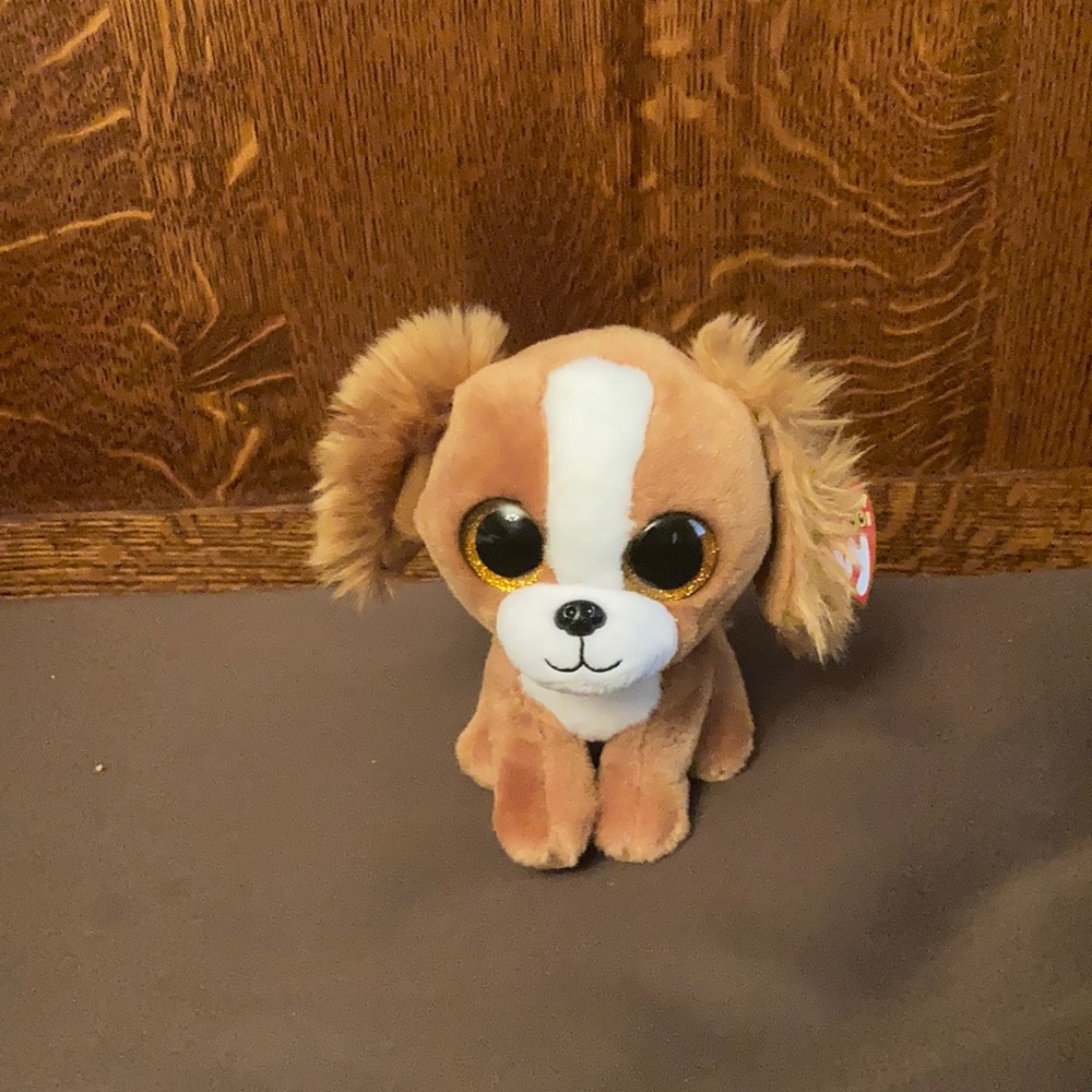 This is a beanie boos plush